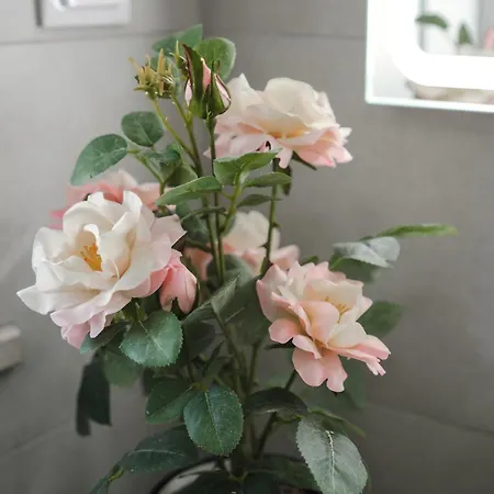 Exclusive Toulouse With Pool In Falesia Algarve *