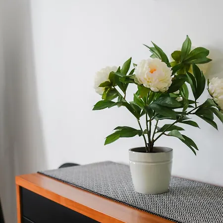 Exclusive Toulouse With Pool In Falesia Algarve Villa *